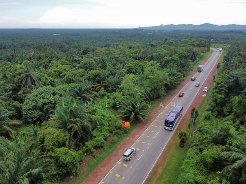 Agricultural Land for Sale in Yong Peng (Johor) - Lau Ee Xuan - Exterior - PropertyGuru.com.my