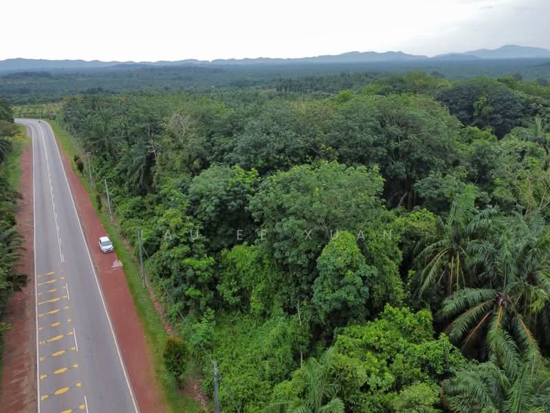 Agricultural Land for Sale in Yong Peng (Johor) - Lau Ee Xuan - Exterior - PropertyGuru.com.my