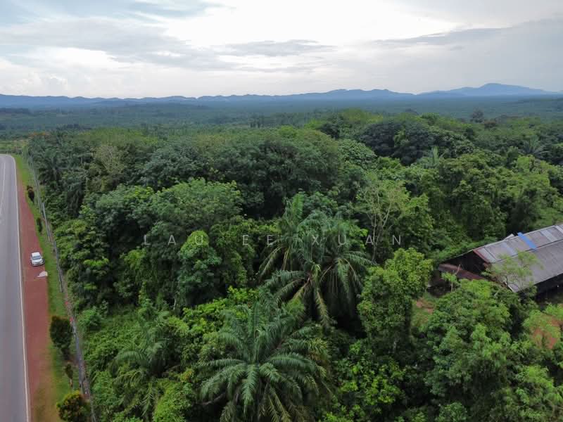 Agricultural Land for Sale in Yong Peng (Johor) - Lau Ee Xuan - Exterior - PropertyGuru.com.my