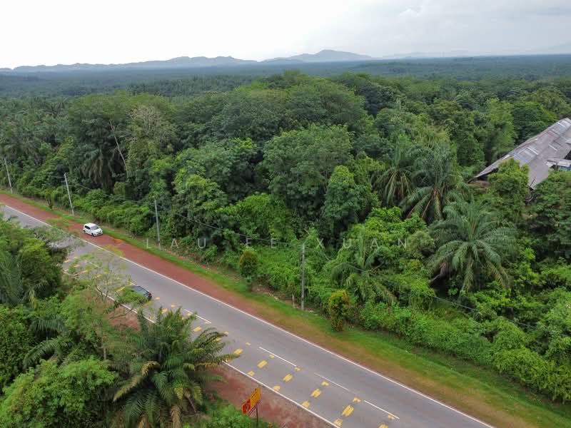 Agricultural Land for Sale in Yong Peng (Johor) - Lau Ee Xuan - Exterior - PropertyGuru.com.my