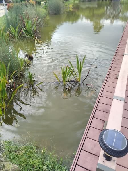 2-storey Terraced House for Sale in Cyberjaya (Selangor) - Marcus Choo - Exterior - PropertyGuru.com.my