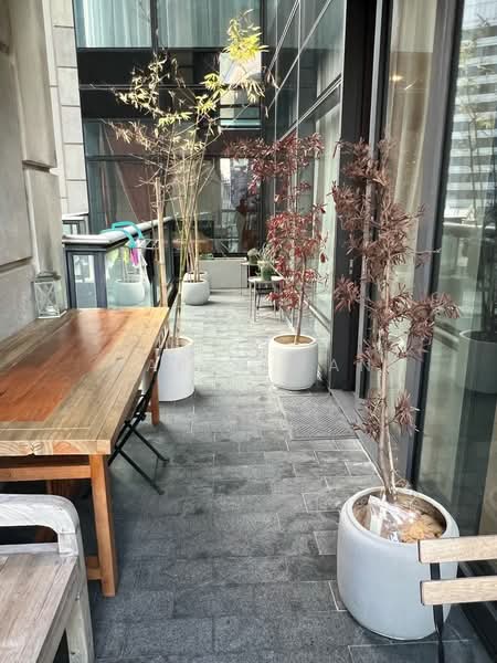 Kondominium untuk Disewa di Condominium @ The Troika - Marco Tan - PropertyGuru.com.my
