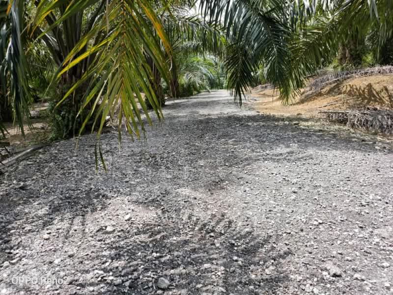 Tanah Pertanian untuk Dijual di Shah Alam (Selangor) - Muhd Khairulnawawi Kamaruddin - PropertyGuru.com.my
