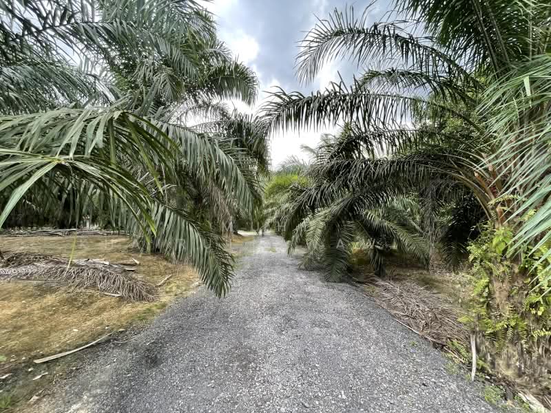 Tanah Pertanian untuk Dijual di Shah Alam (Selangor) - Muhd Khairulnawawi Kamaruddin - PropertyGuru.com.my