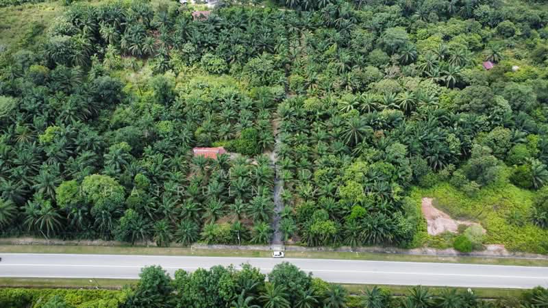 Tanah Pertanian untuk Dijual di Shah Alam (Selangor) - Muhd Khairulnawawi Kamaruddin - PropertyGuru.com.my