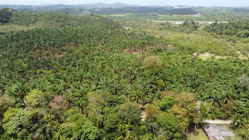 Agricultural Land for Sale in Dungun (Terengganu) - Muhd Khairulnawawi Kamaruddin - PropertyGuru.com.my
