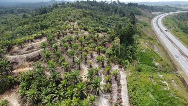 Agricultural Land for Sale in Dungun (Terengganu) - Muhd Khairulnawawi Kamaruddin - PropertyGuru.com.my