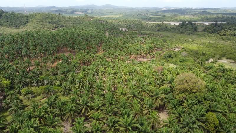 Agricultural Land for Sale in Dungun (Terengganu) - Muhd Khairulnawawi Kamaruddin - PropertyGuru.com.my