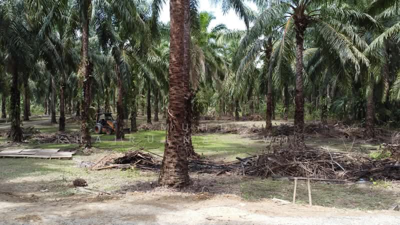 Agricultural Land for Sale in Dungun (Terengganu) - Muhd Khairulnawawi Kamaruddin - PropertyGuru.com.my