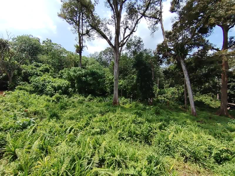 Tanah Pertanian untuk Dijual di Kampung Baru (Batang Kali) - Pek Wah Ng - PropertyGuru.com.my