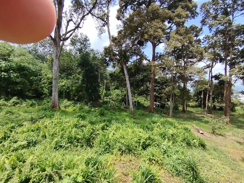 Tanah Pertanian untuk Dijual di Kampung Baru (Batang Kali) - Pek Wah Ng - PropertyGuru.com.my