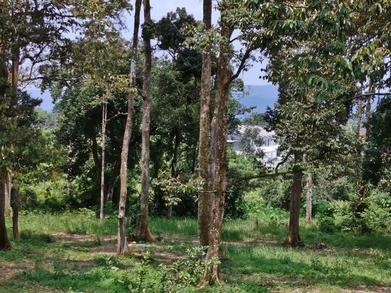 Tanah Pertanian untuk Dijual di Kampung Baru (Batang Kali) - Pek Wah Ng - PropertyGuru.com.my