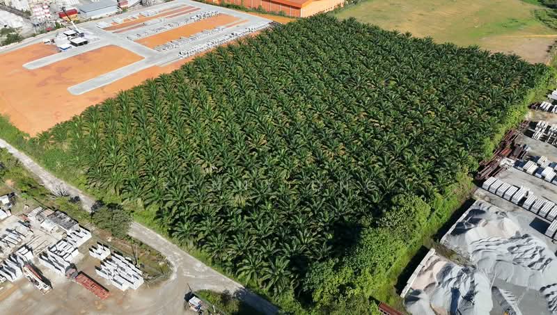 Industrial Land for Sale in Sungai Tiram (Ulu Tiram) - Kenny Ong - PropertyGuru.com.my