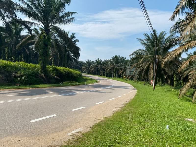 Agricultural Land for Sale in Sedenak (Johor) - Kelly Wai - Exterior - PropertyGuru.com.my