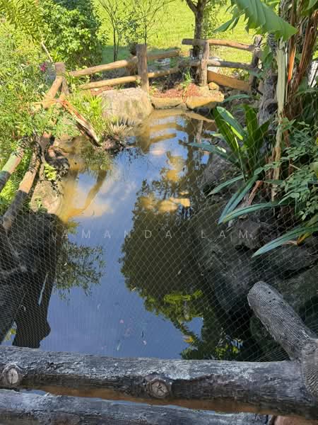 Rumah Banglo untuk Dijual di Kota Kinabalu (Sabah) - Amanda Lam - Garden - PropertyGuru.com.my