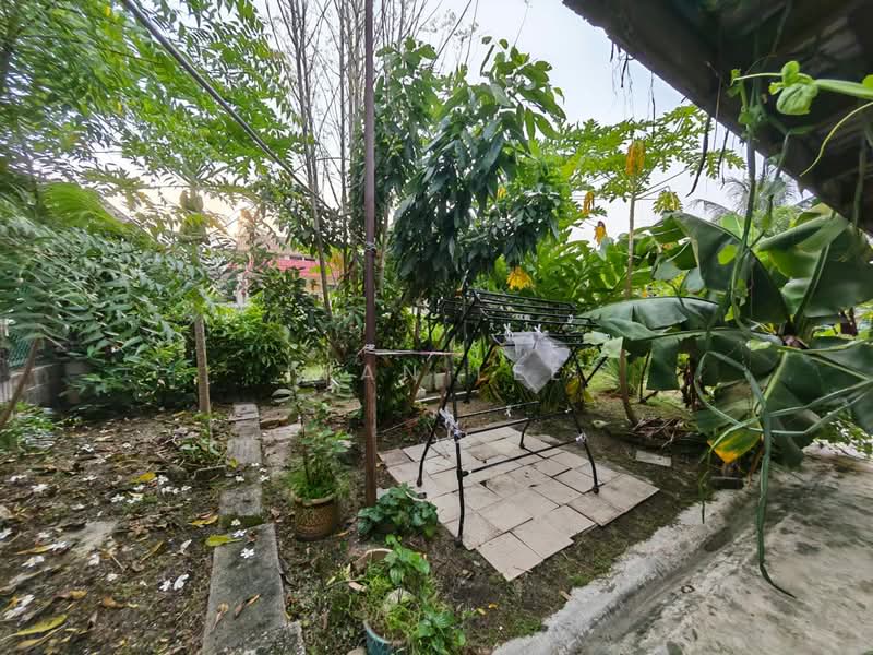 Rumah Banglo untuk Dijual di SS1 (Petaling Jaya) - Ivan Lee - Garden - PropertyGuru.com.my