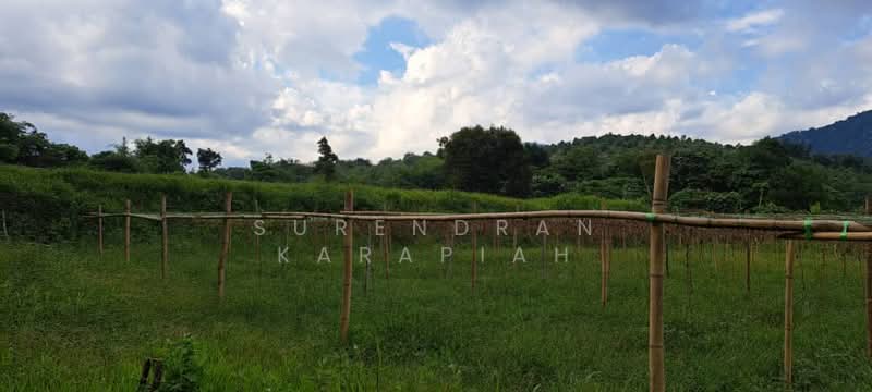 Agricultural Land for Sale in Kerling (Selangor) - Surendran Karapiah - Garden - PropertyGuru.com.my