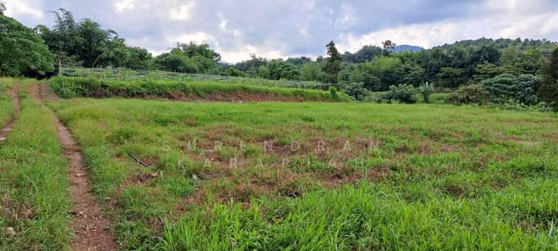 Agricultural Land for Sale in Kerling (Selangor) - Surendran Karapiah - Garden - PropertyGuru.com.my