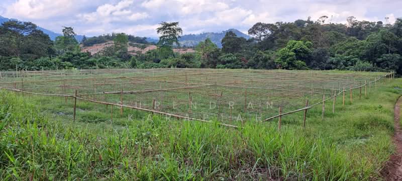 Agricultural Land for Sale in Kerling (Selangor) - Surendran Karapiah - Exterior - PropertyGuru.com.my