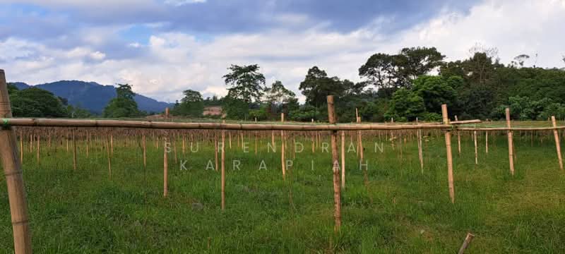 Agricultural Land for Sale in Kerling (Selangor) - Surendran Karapiah - Exterior - PropertyGuru.com.my