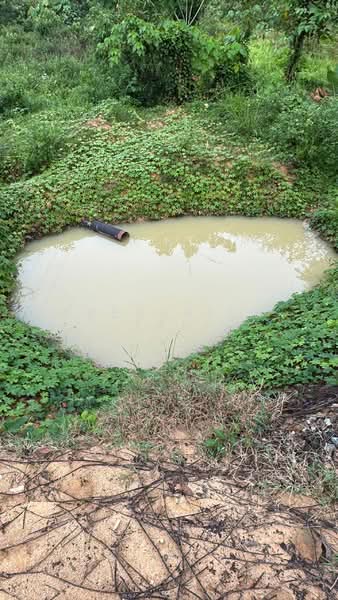 Agricultural Land for Sale in Kampung Jeram Besu (Sega) - Frederick Tan - Exterior - PropertyGuru.com.my