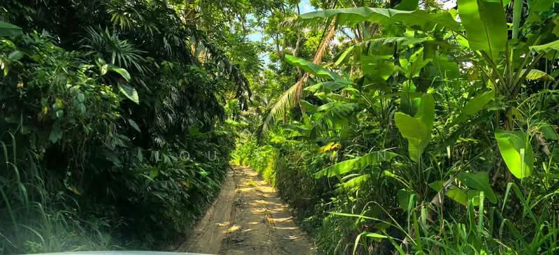 Agricultural Land for Sale in Kampung Baru Ban Foo (Ulu Tiram) - Louis Chin - PropertyGuru.com.my