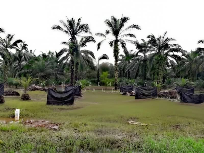 Agricultural Land for Sale in Banting (Selangor) - Wan Azemi Wan Daud - Exterior - PropertyGuru.com.my