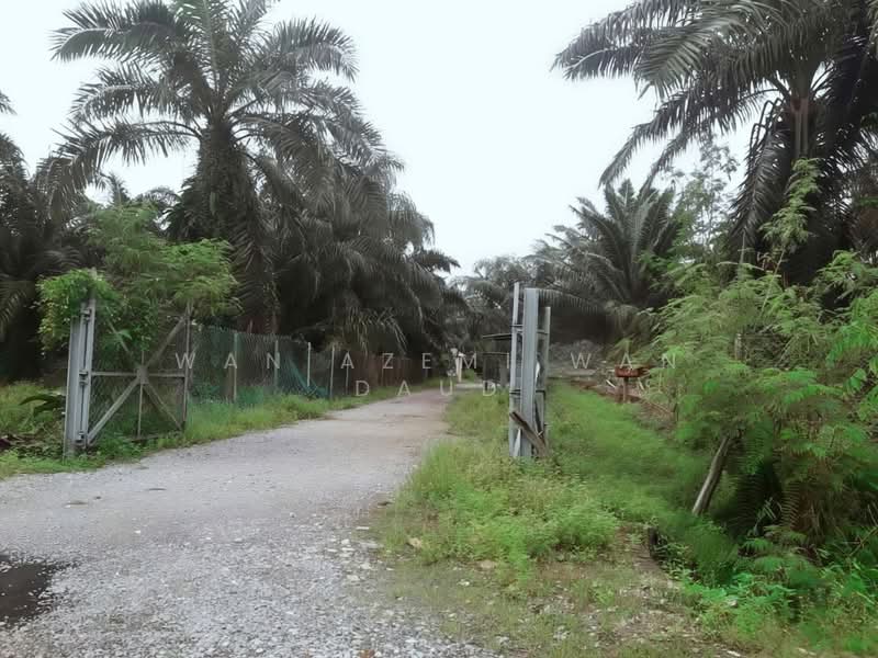 Agricultural Land for Sale in Banting (Selangor) - Wan Azemi Wan Daud - Exterior - PropertyGuru.com.my
