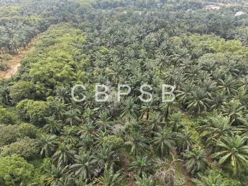 Agricultural Land for Sale in Taman Peserai (Batu Pahat) - ZG Law - PropertyGuru.com.my