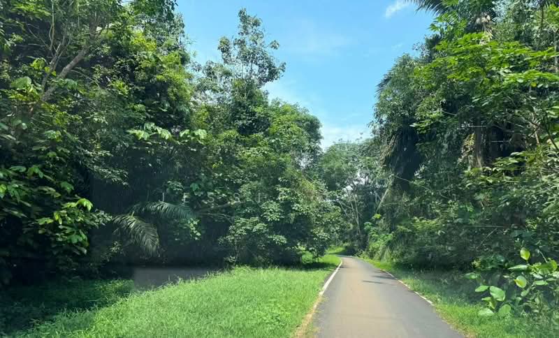 Agricultural Land for Sale in Tanjung Kupang (Iskandar Puteri (Nusajaya)) - Jessie Tan - Exterior - PropertyGuru.com.my