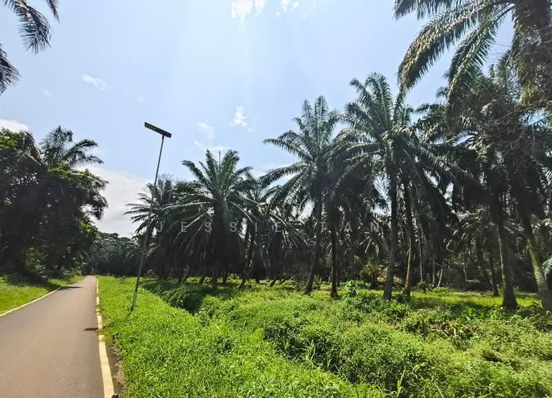 Agricultural Land for Sale in Tanjung Kupang (Iskandar Puteri (Nusajaya)) - Jessie Tan - Exterior - PropertyGuru.com.my