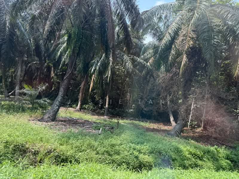 Agricultural Land for Sale in Tanjung Kupang (Iskandar Puteri (Nusajaya)) - Jessie Tan - Exterior - PropertyGuru.com.my