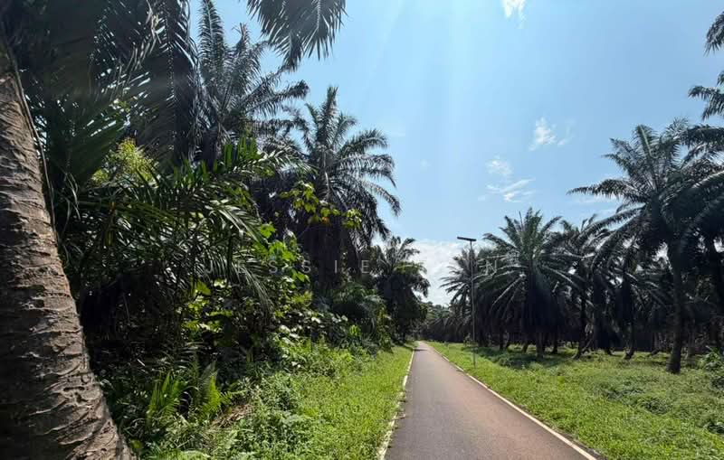 Agricultural Land for Sale in Tanjung Kupang (Iskandar Puteri (Nusajaya)) - Jessie Tan - Exterior - PropertyGuru.com.my