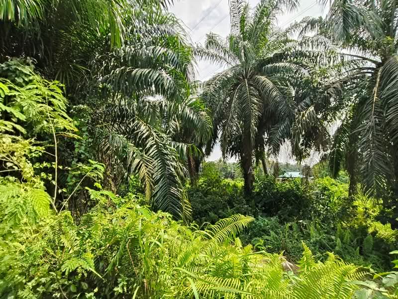 Commercial Land for Sale in Tanjung Kupang (Iskandar Puteri (Nusajaya)) - Jessie Tan - Garden - PropertyGuru.com.my