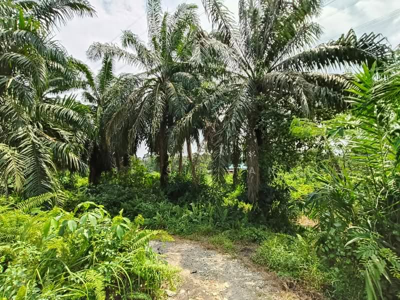 Commercial Land for Sale in Tanjung Kupang (Iskandar Puteri (Nusajaya)) - Jessie Tan - Garden - PropertyGuru.com.my