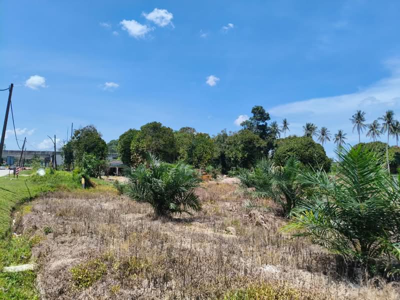 Tanah Perindustrian untuk Dijual di Tanjung Kupang (Iskandar Puteri (Nusajaya)) - Jessie Tan - Exterior - PropertyGuru.com.my