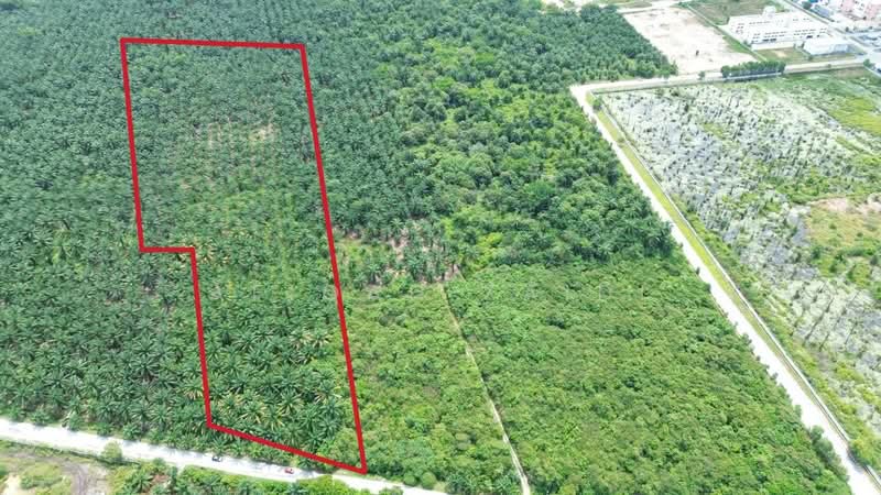 Agricultural Land for Sale in Banting (Banting) - Afiqah zaidi - PropertyGuru.com.my