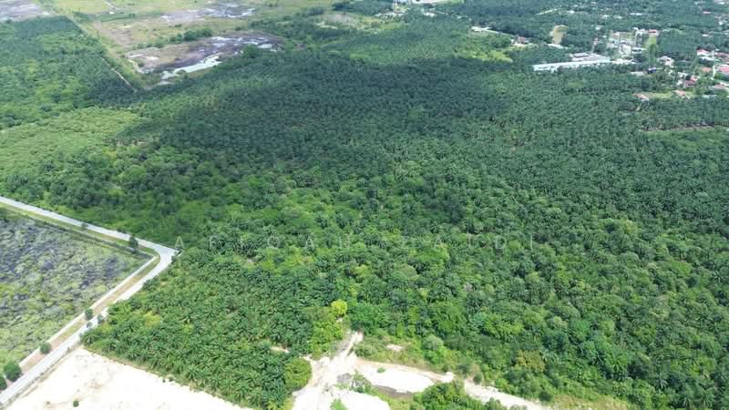 Agricultural Land for Sale in Banting (Banting) - Afiqah zaidi - PropertyGuru.com.my