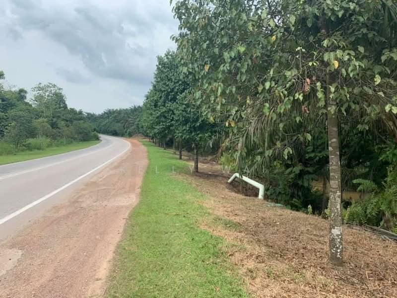 Agricultural Land for Sale in Simpang Renggam (Johor) - Kelly Wai - Exterior - PropertyGuru.com.my