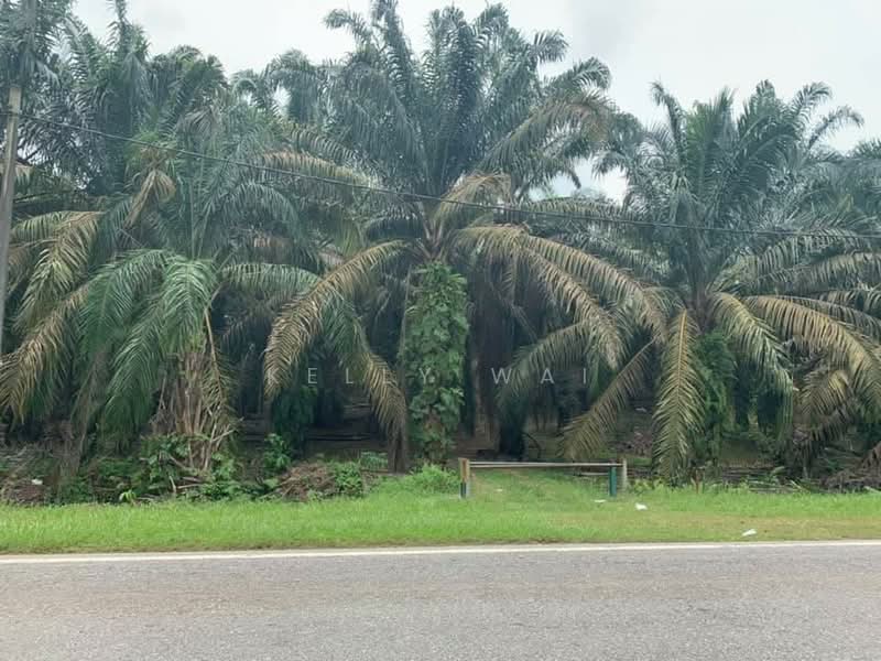 Agricultural Land for Sale in Simpang Renggam (Johor) - Kelly Wai - Exterior - PropertyGuru.com.my