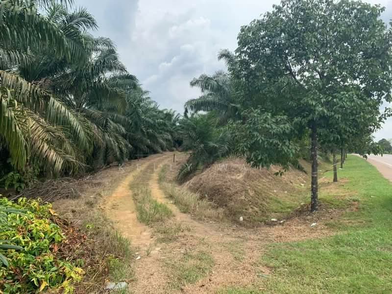 Agricultural Land for Sale in Simpang Renggam (Johor) - Kelly Wai - Exterior - PropertyGuru.com.my