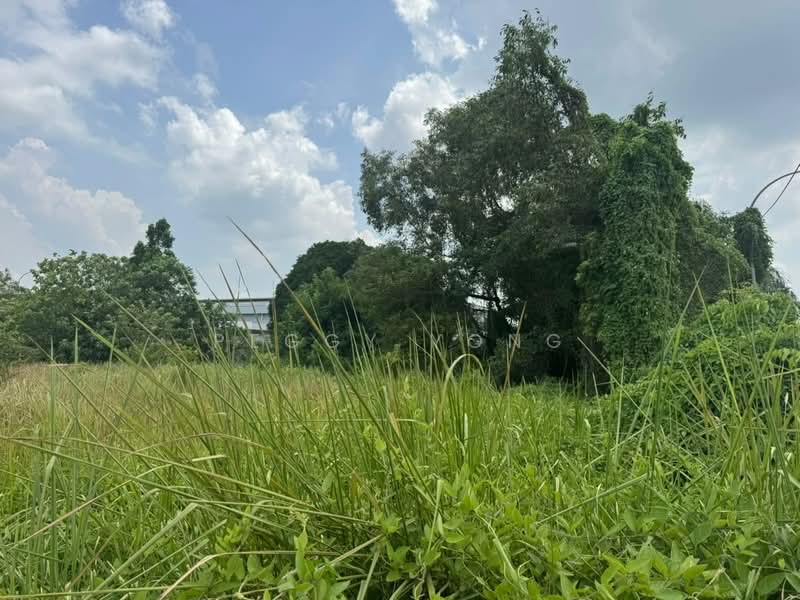 Tanah Perindustrian untuk Dijual di Ijok (Selangor) - Peggy Yong - Exterior - PropertyGuru.com.my