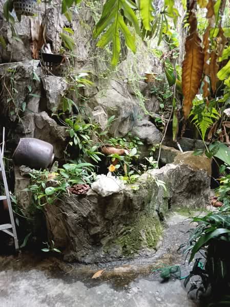 Rumah Teres 1 Tingkat untuk Dijual di Taman Setapak (Setapak) - Annie How - Garden - PropertyGuru.com.my