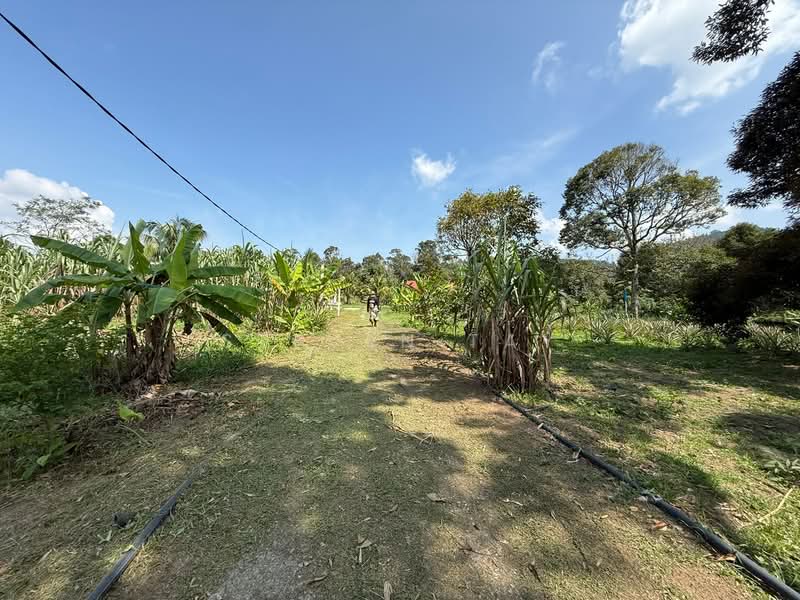 Agricultural Land for Sale in Broga (Lenggeng) - Steven Tay - Exterior - PropertyGuru.com.my