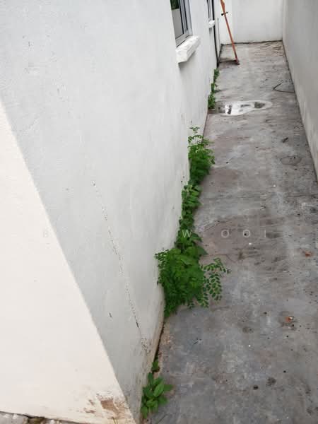 Rumah Teres 2 Tingkat untuk Disewa di Taman Kasawari (Simpang Ampat) - Boon Haw Ooi - PropertyGuru.com.my