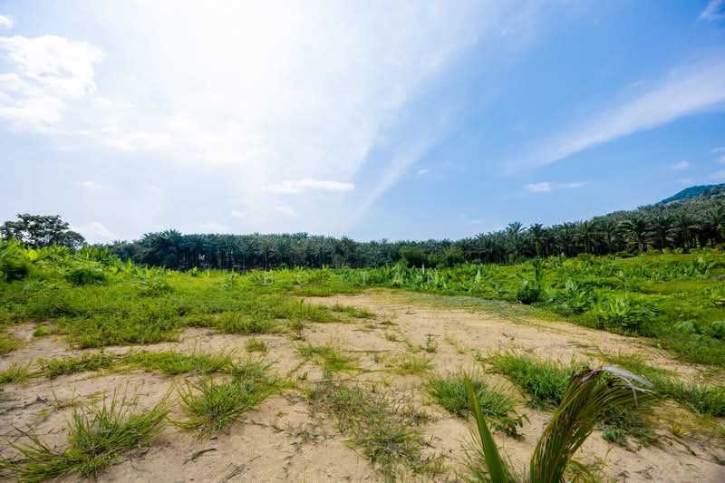 Agricultural Land for Sale in Karak (Pahang) - BC TAN - Exterior - PropertyGuru.com.my