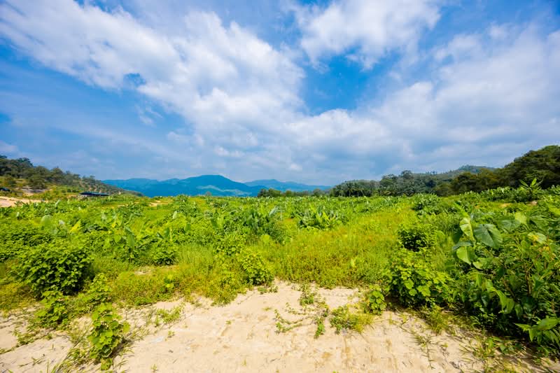 Agricultural Land for Sale in Karak (Pahang) - BC TAN - Exterior - PropertyGuru.com.my