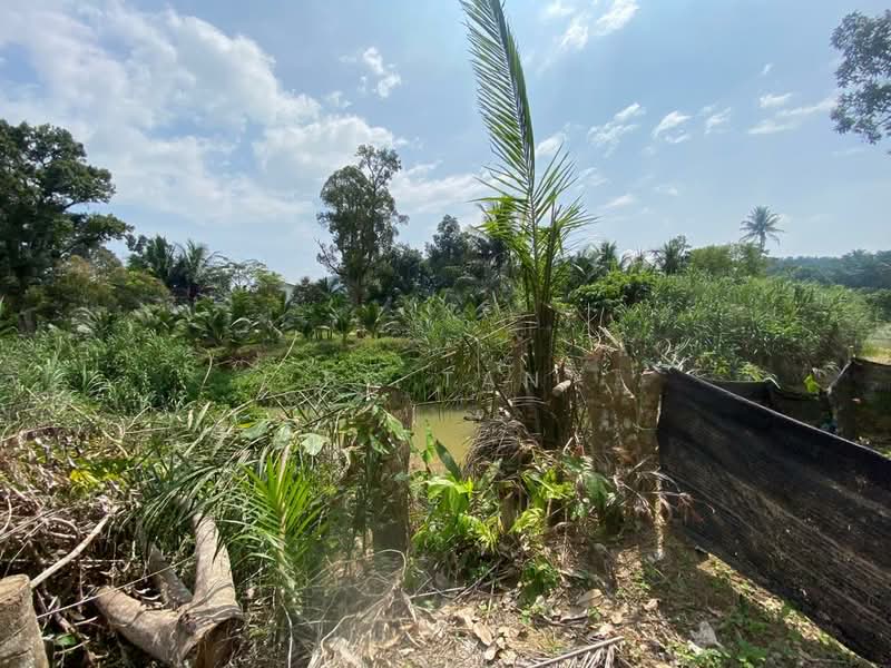 Agricultural Land for Sale in Karak (Pahang) - BC TAN - Exterior - PropertyGuru.com.my