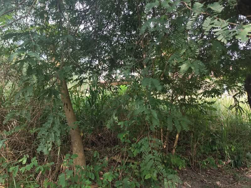 Tanah Banglo untuk Dijual di Bandar Tasik Kesuma (Beranang) - Zai Muda - PropertyGuru.com.my