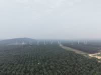 For Sale - Freehold Oil Palm Plantation in Kahang, Johor for Sale